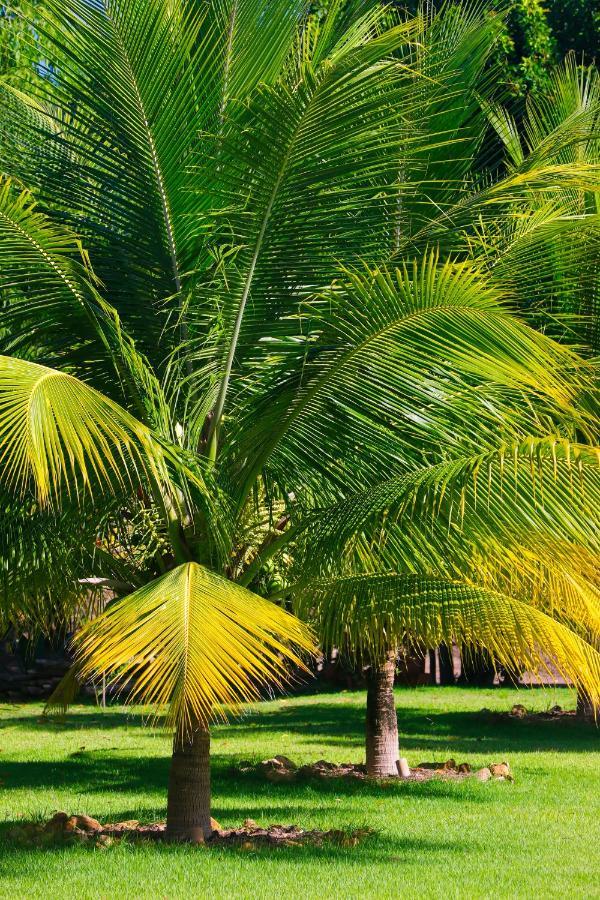 Bahay Tatu Villa Pôrto de Pedras Esterno foto